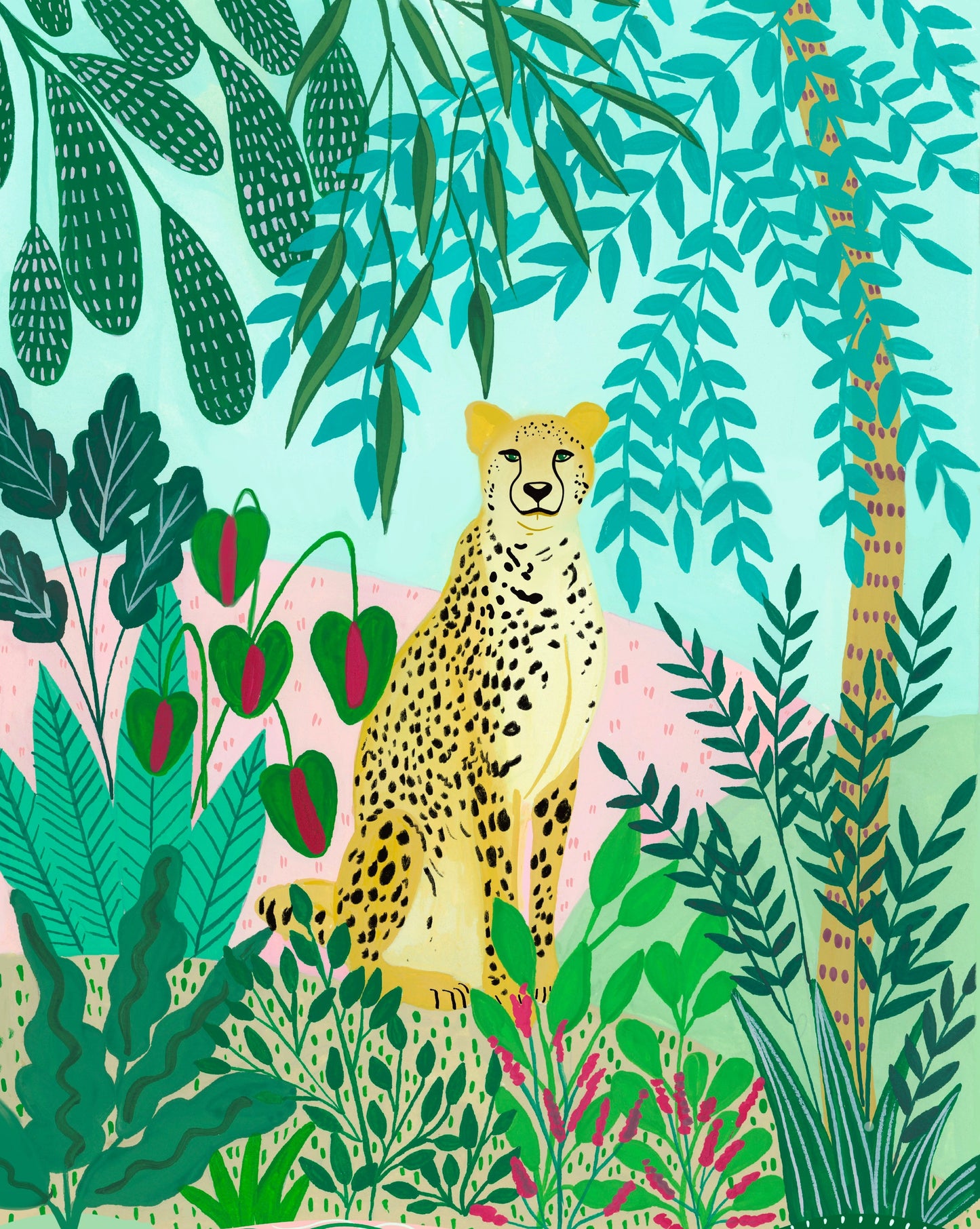 Cheetah