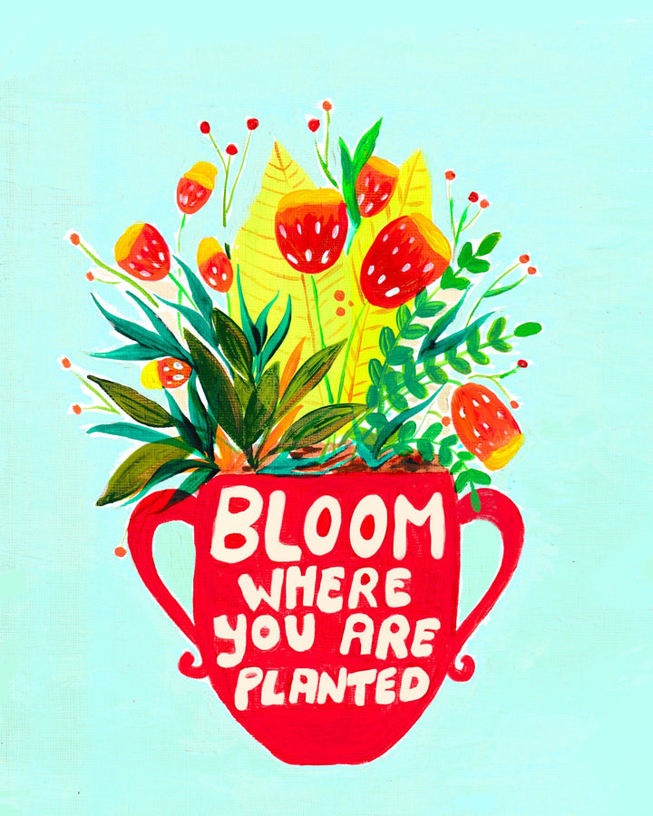 Bloom where you are planted quote - Nabeela Rumi