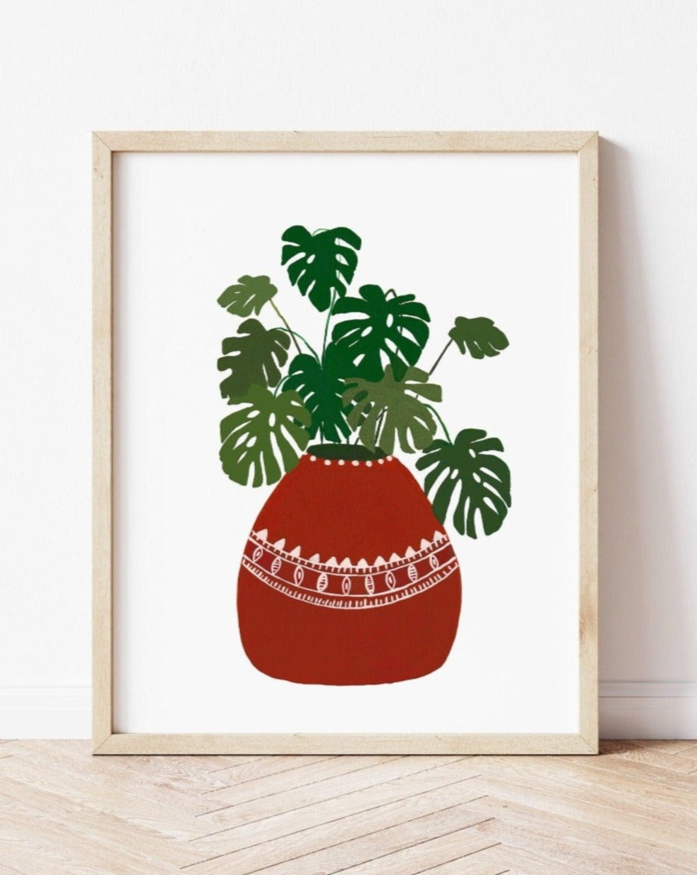 monstera deliciosa terracotta pot Monstera Deliciosa in Terracotta pot