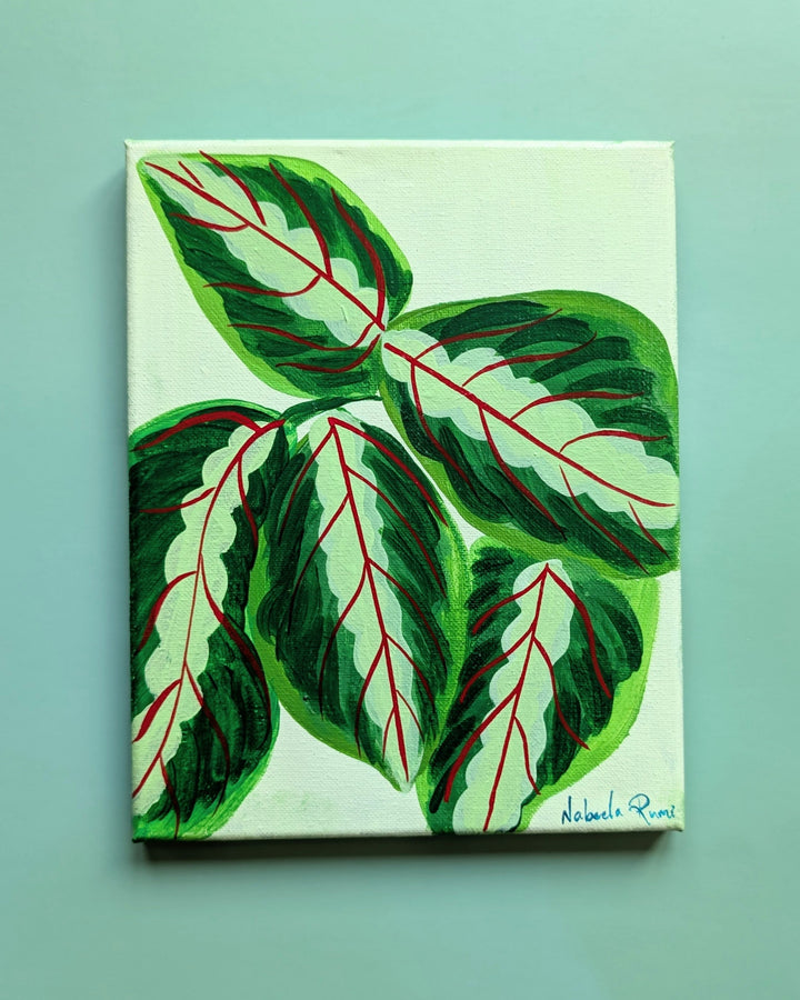 Prayer Plant original painting