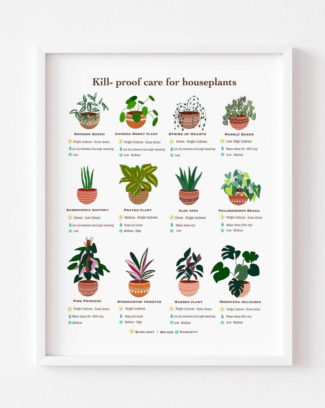 house plant watering chart House plant Guide – Nabeela Rumi