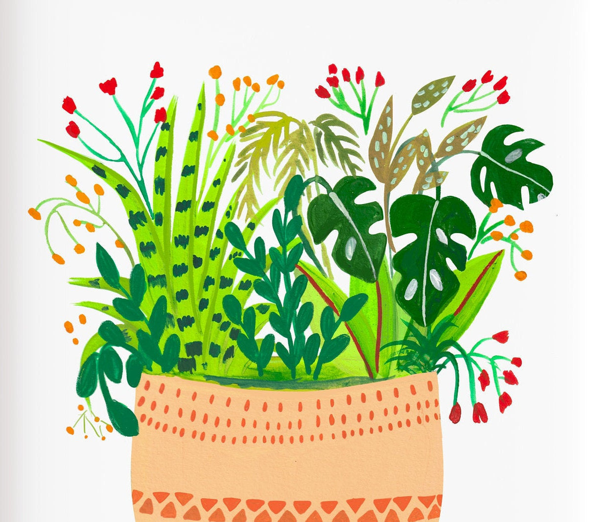 Assorted potted plants- Ava - Nabeela Rumi