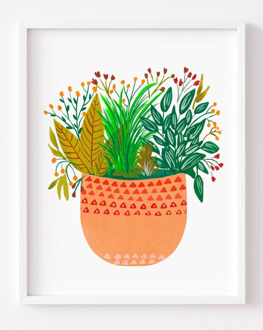 Assorted potted plants- Jia - Nabeela Rumi