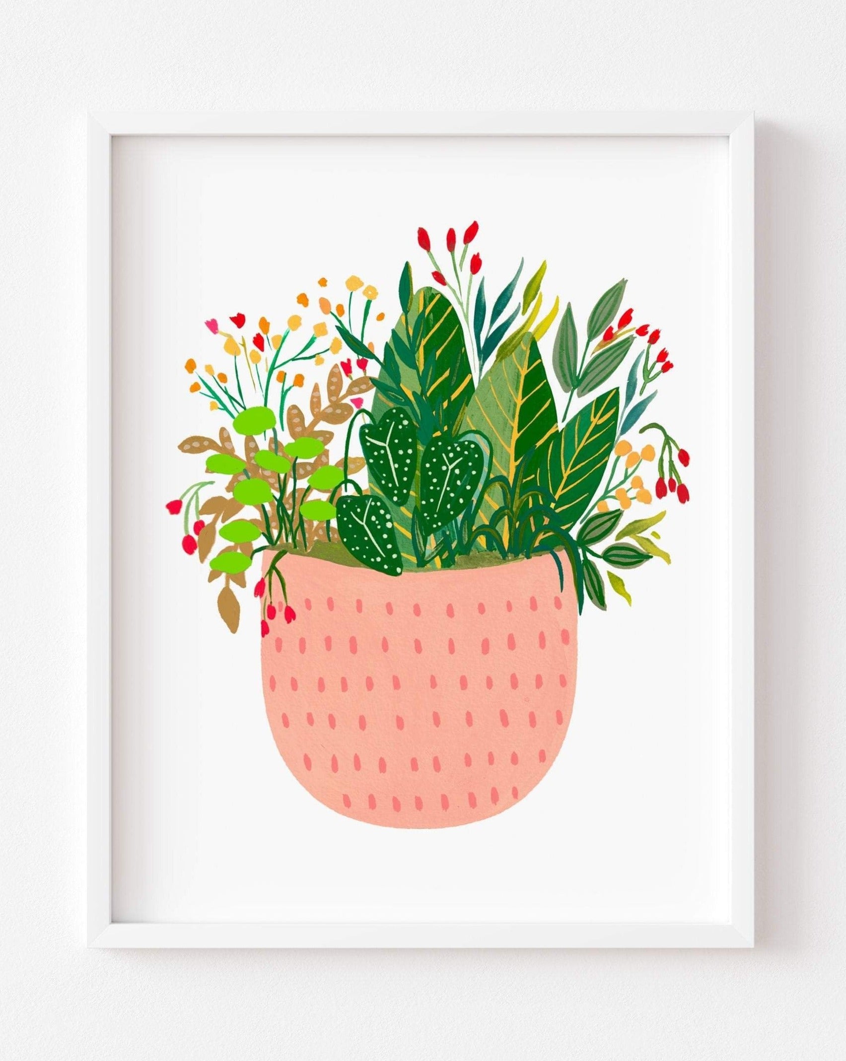 Assorted Potted Plants- Sun - Nabeela Rumi