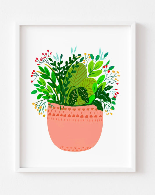 Assorted potted plants- Eila - Nabeela Rumi