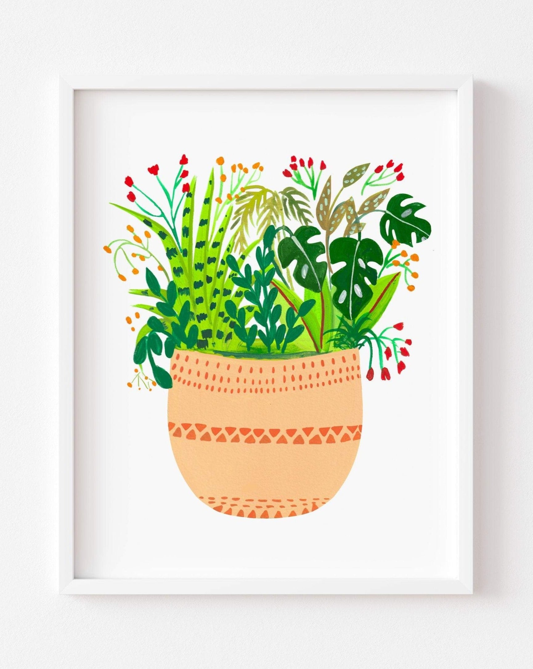 Assorted potted plants- Ava - Nabeela Rumi
