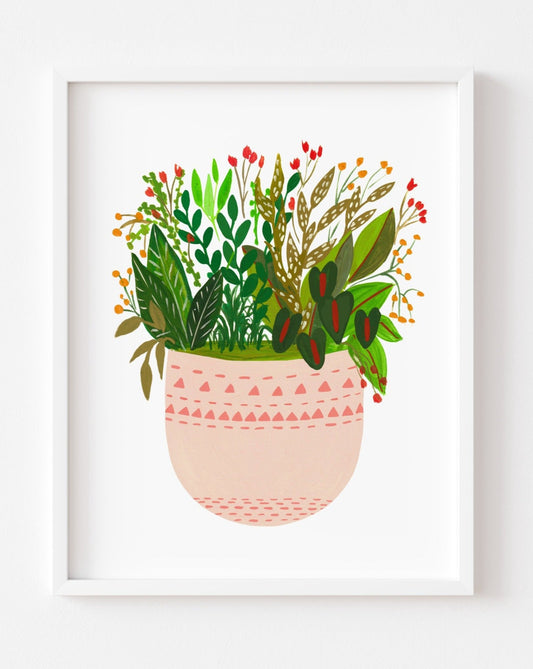 Assorted potted plants- Elle - Nabeela Rumi