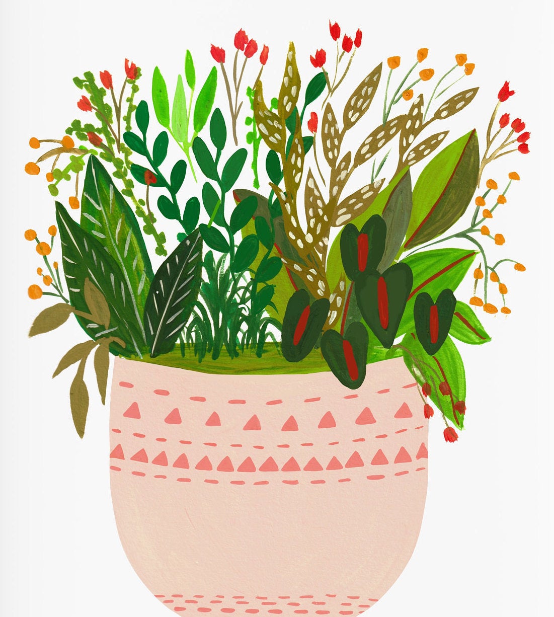 Assorted potted plants- Elle - Nabeela Rumi
