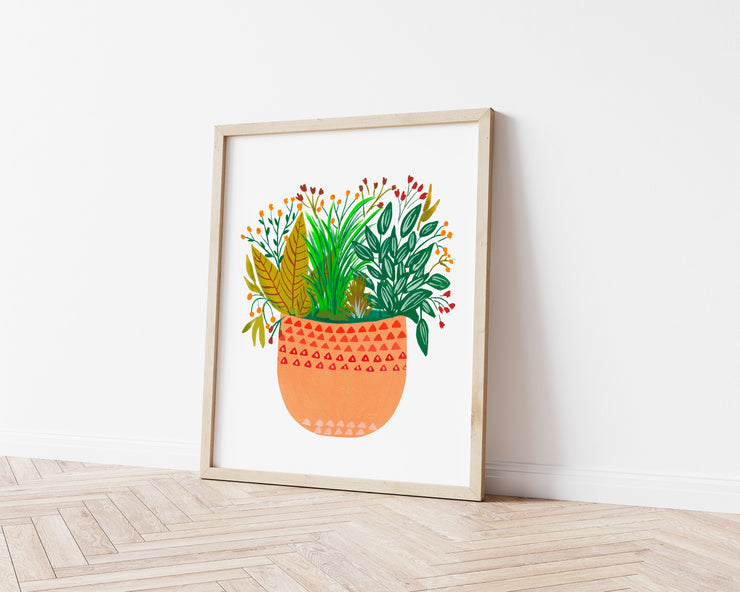 Assorted potted plants- Jia - Nabeela Rumi