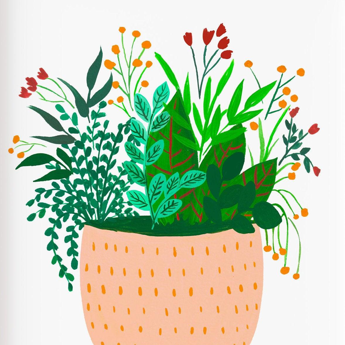 Assorted potted plants- Mira - Nabeela Rumi